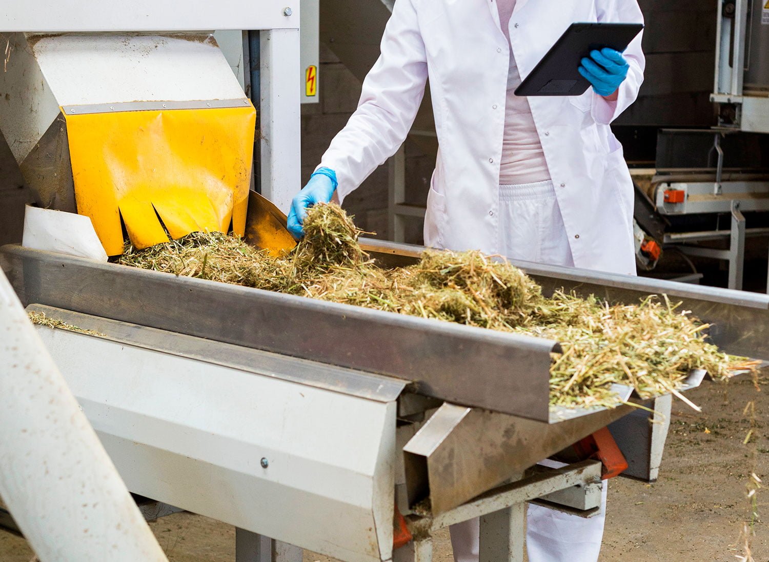 Researcher running pilot experiment of hemp fiber extraction